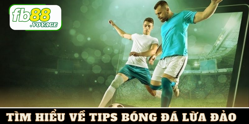 Tips Bóng Đá Lừa Đảo - Nhận Diện Cùng FB88 Để Tránh Rủi Ro